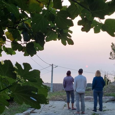 Alojamiento Casa Carlota Villadesuso Bagian luar foto