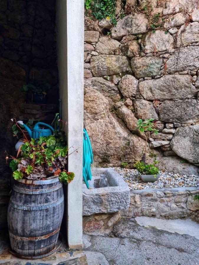 Alojamiento Casa Carlota Villadesuso Bagian luar foto